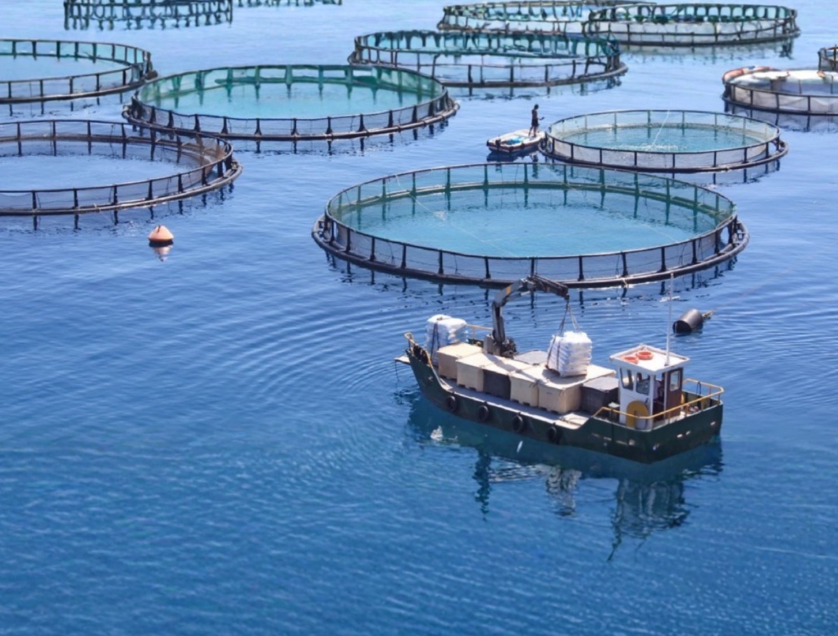 BRICS countries take on the marine industry